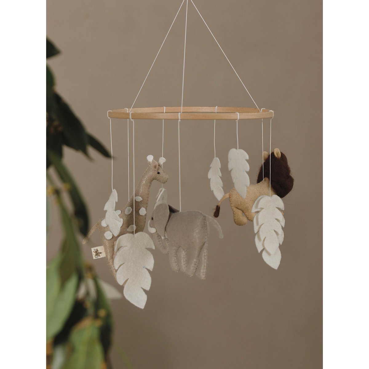 Mobile Safari – L’aventure douce au-dessus du lit